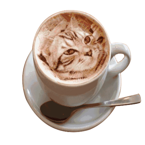 Imprimante à gâteau et café complet entièrement HY3522 avec support WiFi